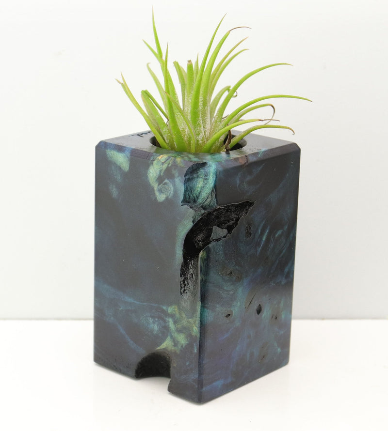 Wood Burl Wood+Resin Air Plant Holder - Brittney (Fire & Ice, 693275)