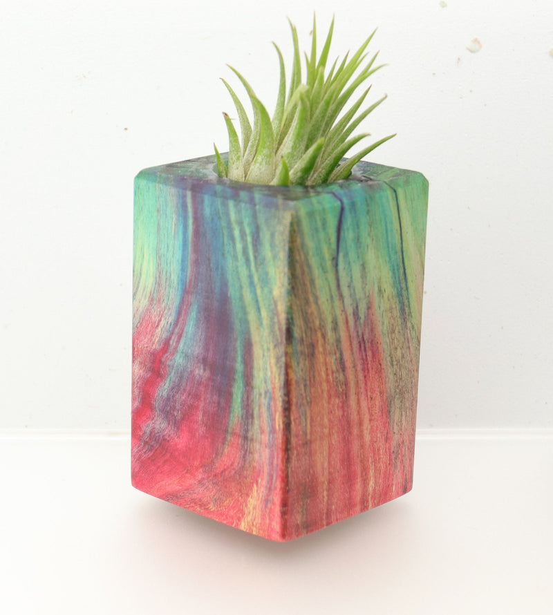 Wood Burl  Air Plant Holder - Taryn (Wood Burl, 695074)