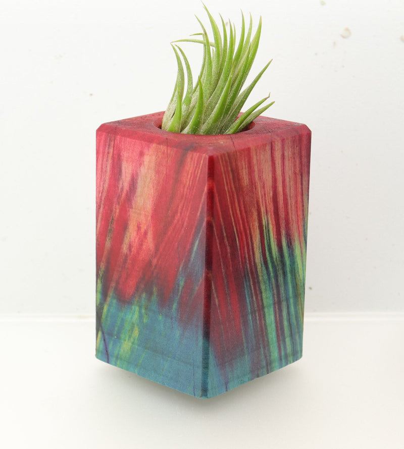 Wood Burl  Air Plant Holder - Marion (Wood Burl, 695082)