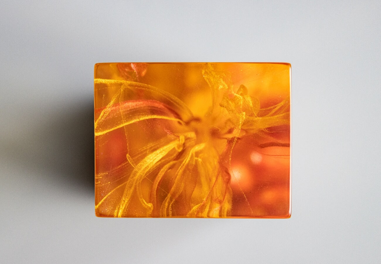 Tangerine Hero Image 1