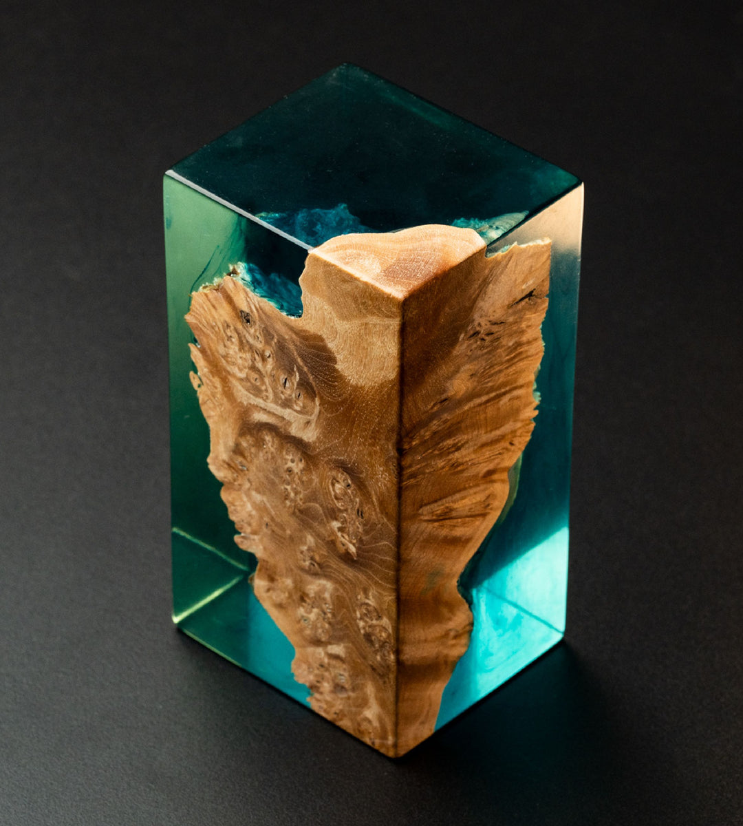 Tortuga Monolith