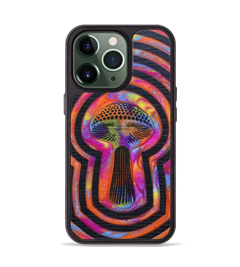 iPhone 13 Pro Wood+Resin Phone Case - Didier (Retro, 634360)